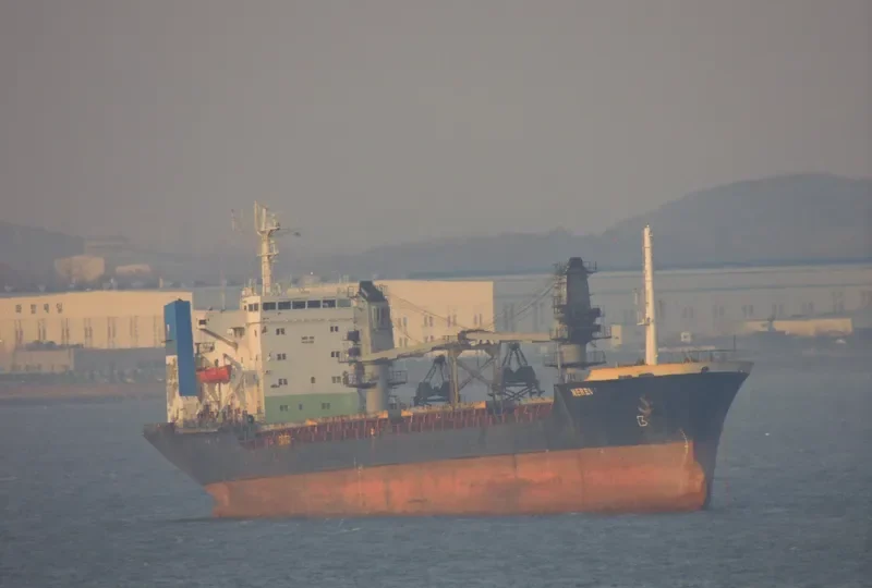 REI General Cargo IMO 8116996 photo 4