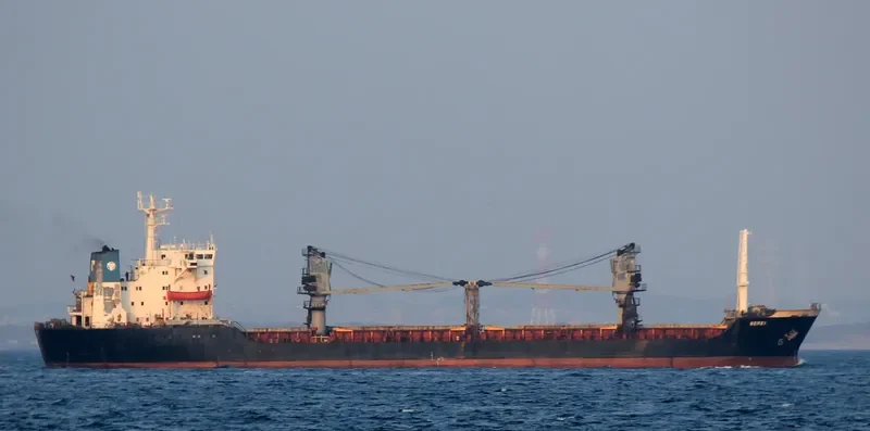 REI General Cargo IMO 8116996 photo 5