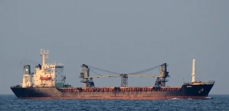 REI General Cargo IMO 8116996 photo 6