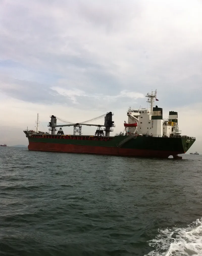 REI General Cargo IMO 8116996 photo 7