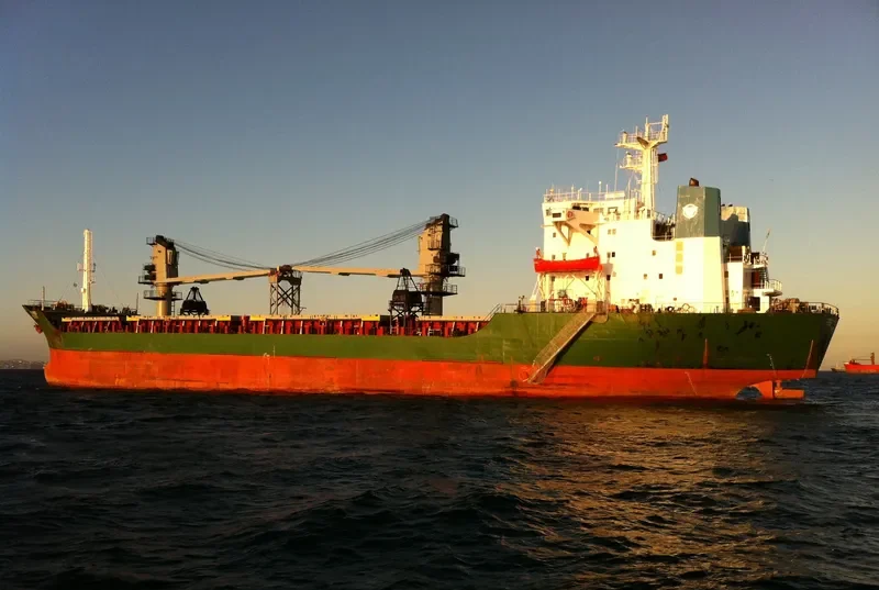 REI General Cargo IMO 8116996 photo 8