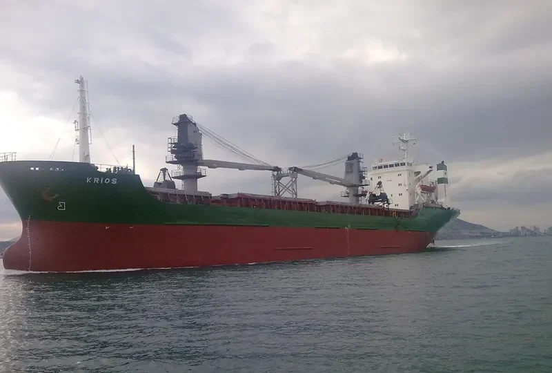 REI General Cargo IMO 8116996 photo 9