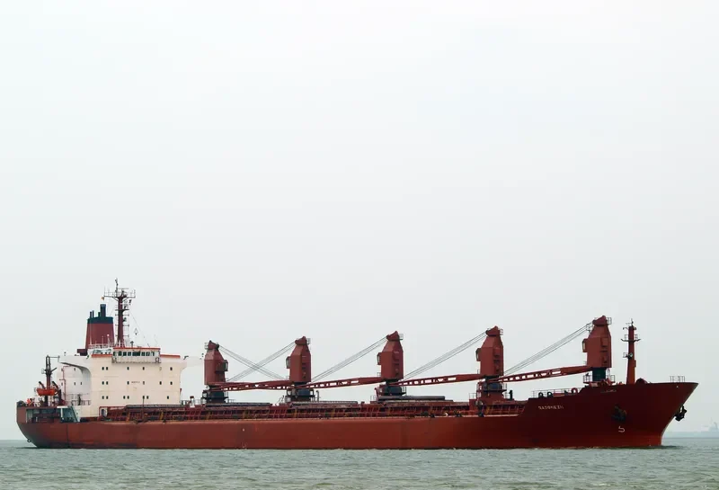 RADONEZH Bulk Carrier IMO 8117017
