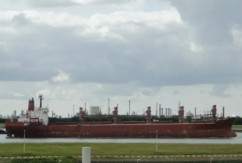 RADONEZH Bulk Carrier IMO 8117017 photo 2