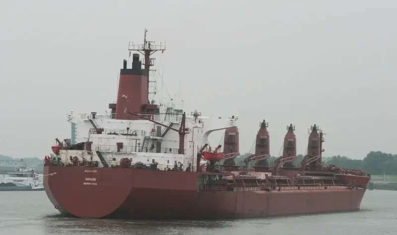 RADONEZH Bulk Carrier IMO 8117017 photo 3