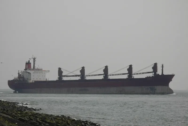 RADONEZH Bulk Carrier IMO 8117017 photo 4
