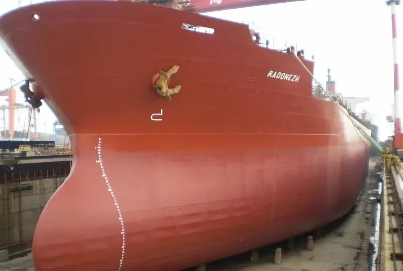RADONEZH Bulk Carrier IMO 8117017 photo 5