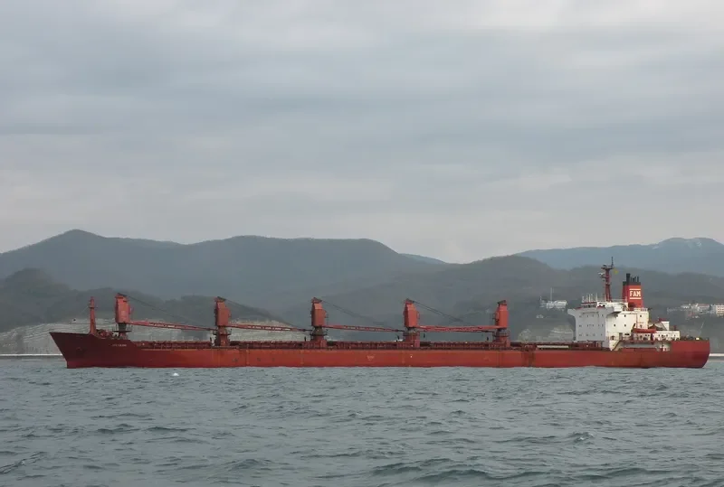 RADONEZH Bulk Carrier IMO 8117017 photo 6