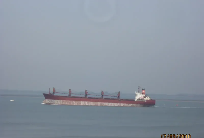 RADONEZH Bulk Carrier IMO 8117017 photo 7