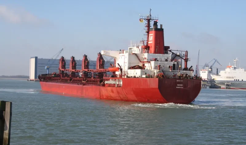 RADONEZH Bulk Carrier IMO 8117017 photo 8
