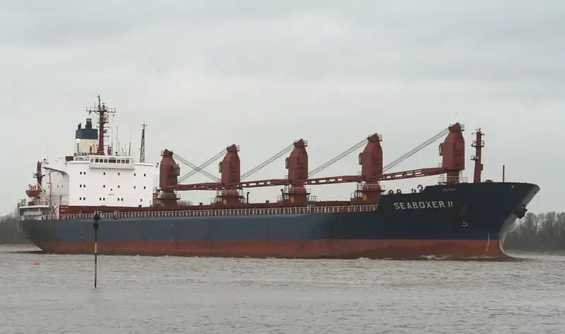 C RHAPSODY Bulk Carrier IMO 8117029