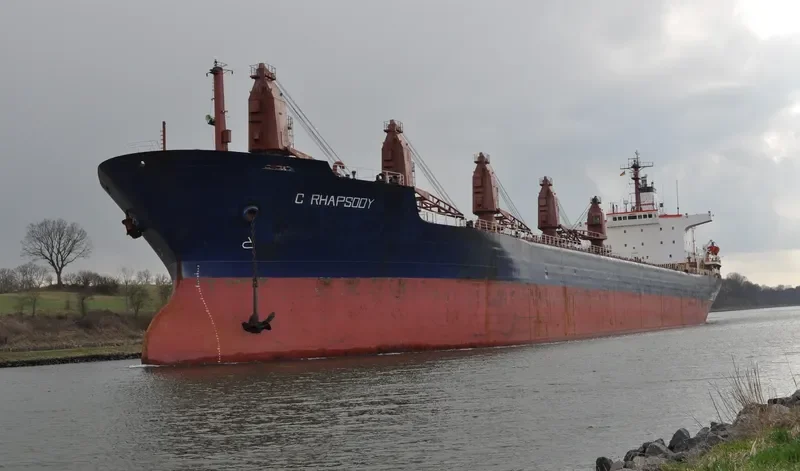 C RHAPSODY Bulk Carrier IMO 8117029 photo 3