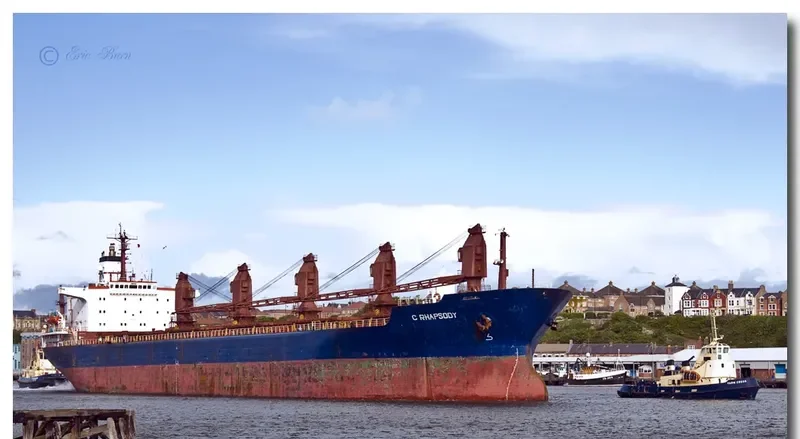 C RHAPSODY Bulk Carrier IMO 8117029 photo 4