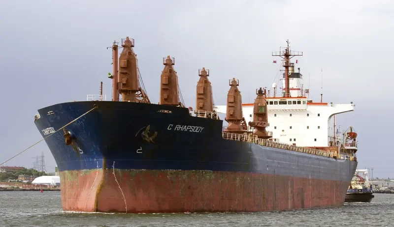 C RHAPSODY Bulk Carrier IMO 8117029 photo 5