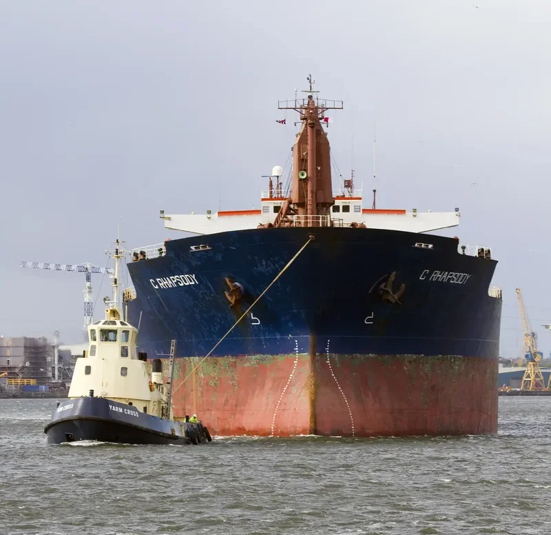 C RHAPSODY Bulk Carrier IMO 8117029 photo 6