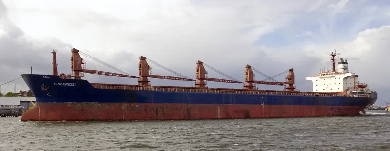 C RHAPSODY Bulk Carrier IMO 8117029 photo 7