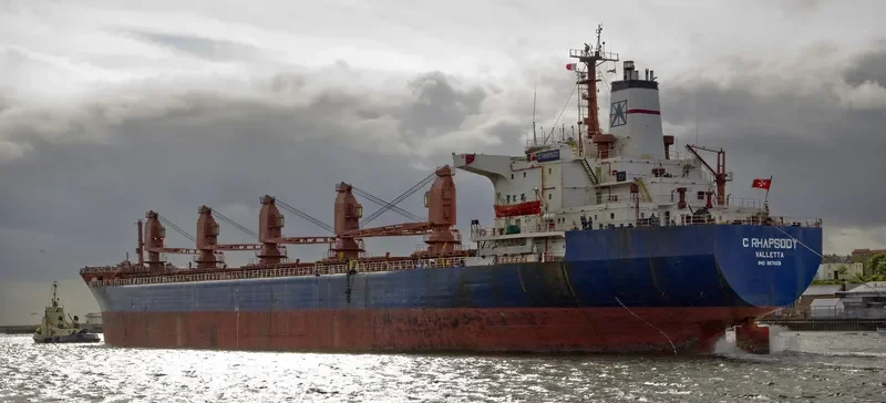 C RHAPSODY Bulk Carrier IMO 8117029 photo 8