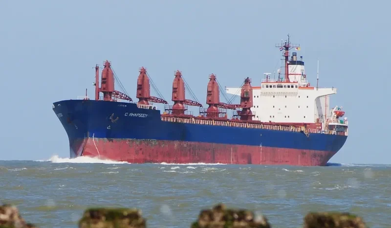 C RHAPSODY Bulk Carrier IMO 8117029 photo 9