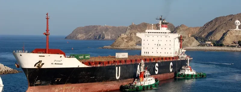 MANAKH Container Ship IMO 8117263 photo 8