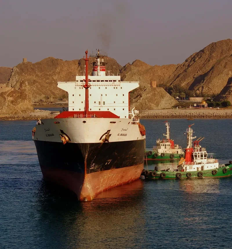 MANAKH Container Ship IMO 8117263 photo 9