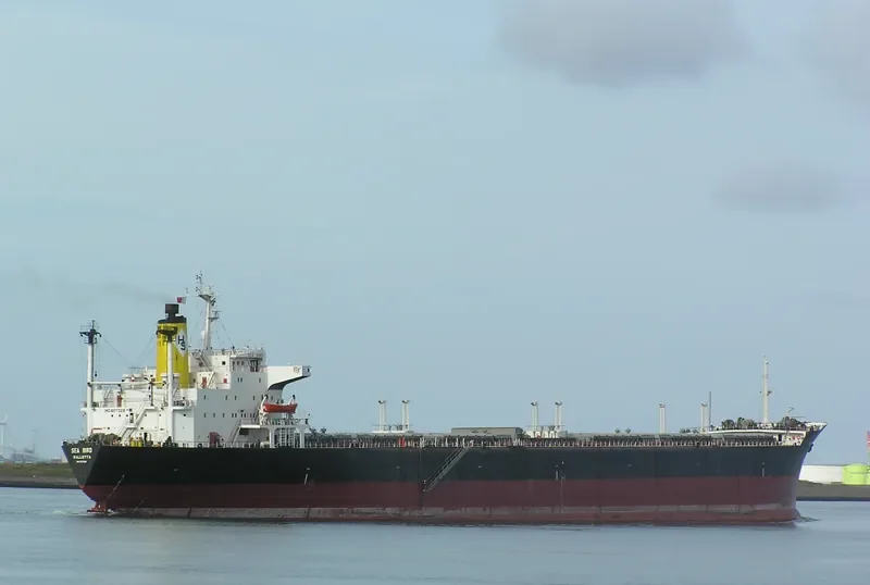 SEA BIRD Bulk Carrier IMO 8117328 photo 2