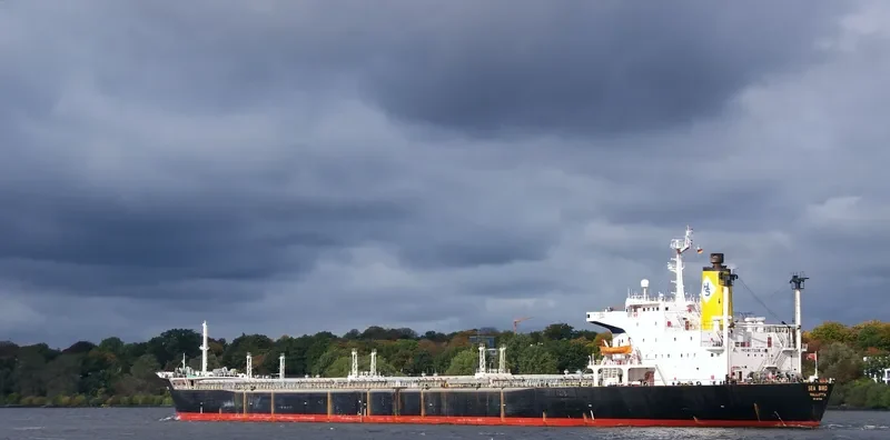 SEA BIRD Bulk Carrier IMO 8117328 photo 3