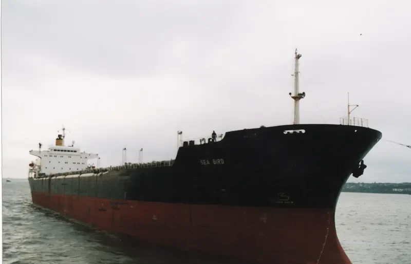 SEA BIRD Bulk Carrier IMO 8117328 photo 4