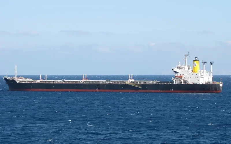 SEA BIRD Bulk Carrier IMO 8117328 photo 5