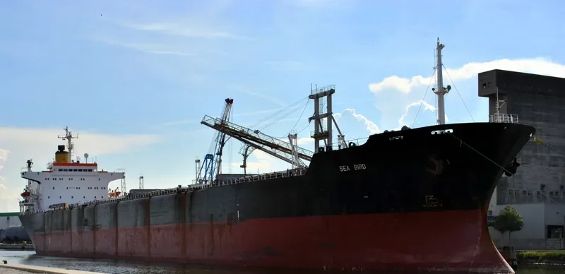 SEA BIRD Bulk Carrier IMO 8117328 photo 6
