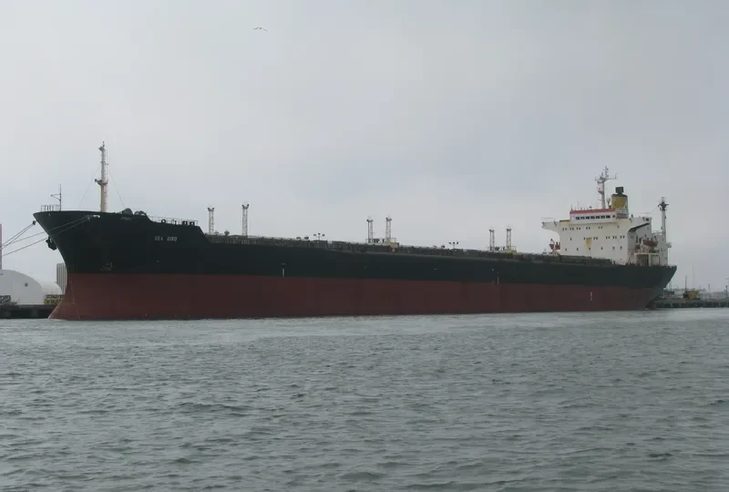 SEA BIRD Bulk Carrier IMO 8117328 photo 7