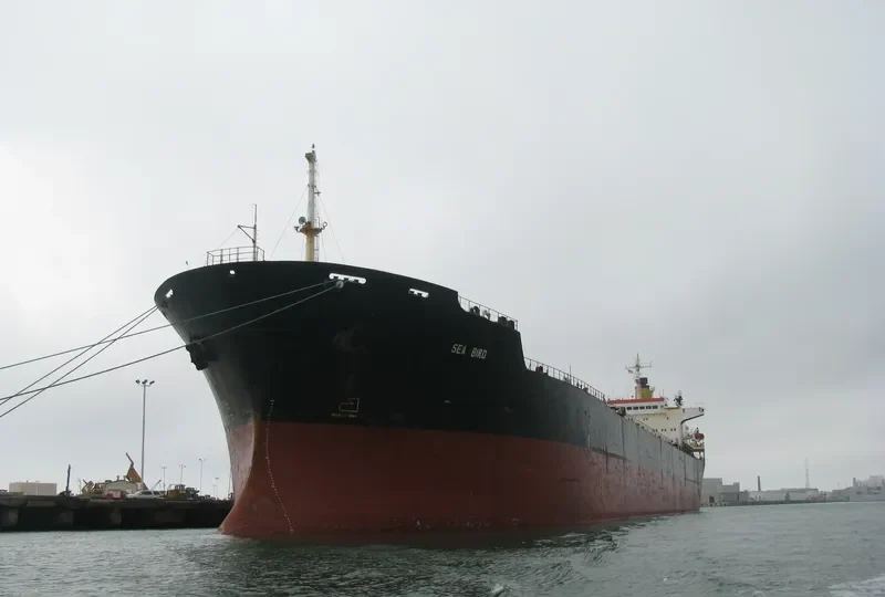 SEA BIRD Bulk Carrier IMO 8117328 photo 8