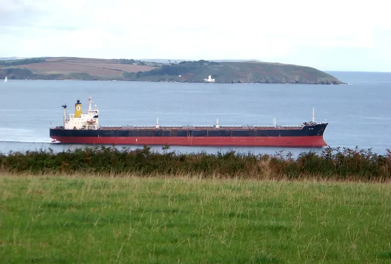 SEA BIRD Bulk Carrier IMO 8117328 photo 9