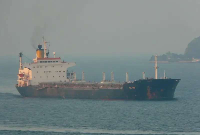 SEA BIRD Bulk Carrier IMO 8117328 photo 10