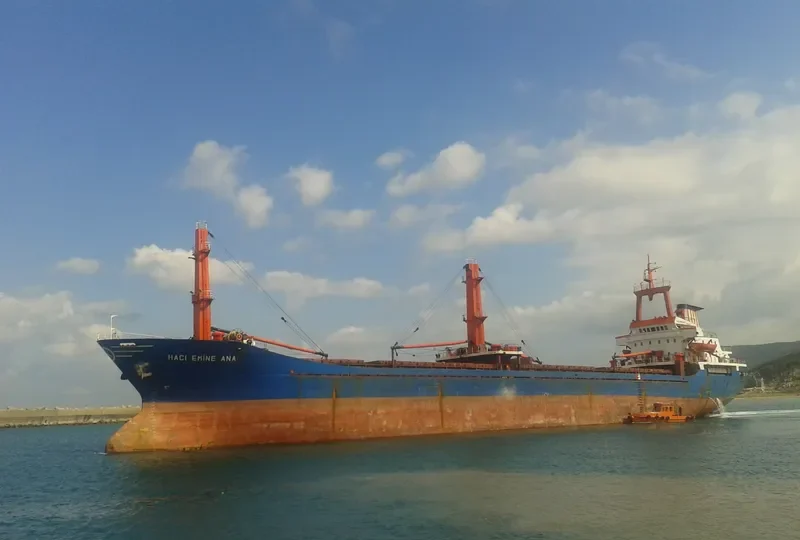 HACI EMINE ANA General Cargo IMO 8117847 photo 3