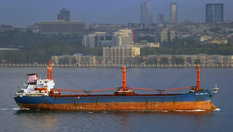 HACI EMINE ANA General Cargo IMO 8117847 photo 6