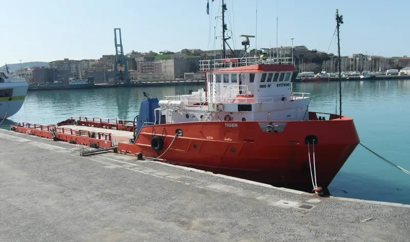 TANGO ASSO General Cargo IMO 8117990 photo 2