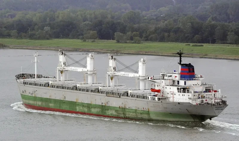 ERA Bulk Carrier IMO 8118138