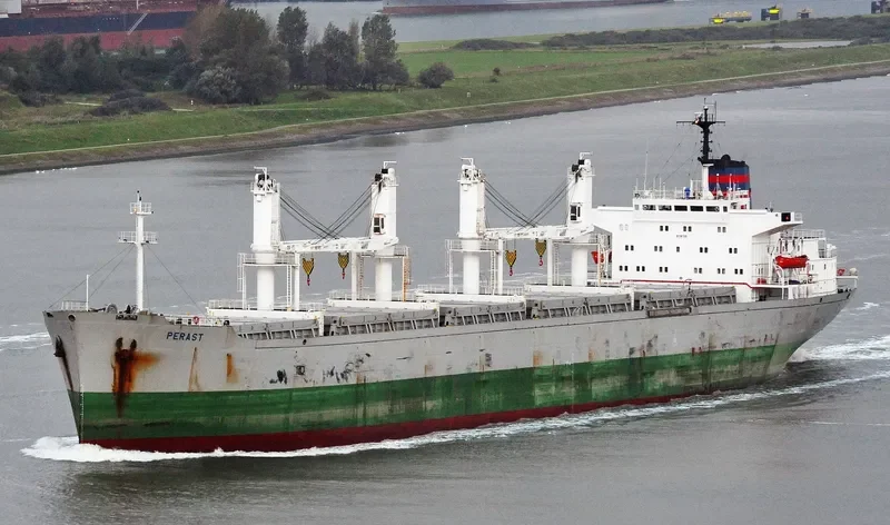 ERA Bulk Carrier IMO 8118138 photo 2
