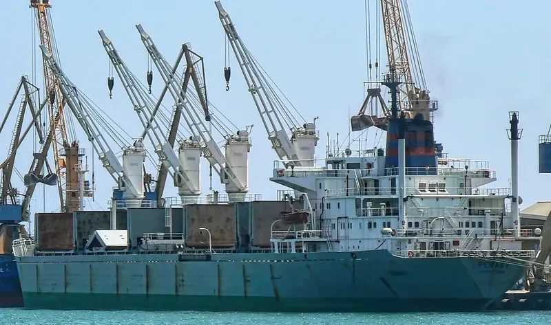 ERA Bulk Carrier IMO 8118138 photo 3
