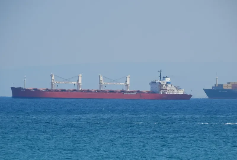 ERA Bulk Carrier IMO 8118138 photo 4