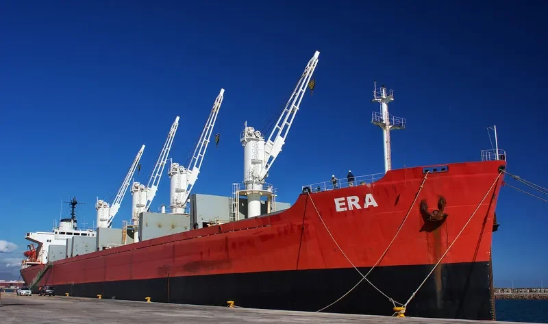 ERA Bulk Carrier IMO 8118138 photo 5