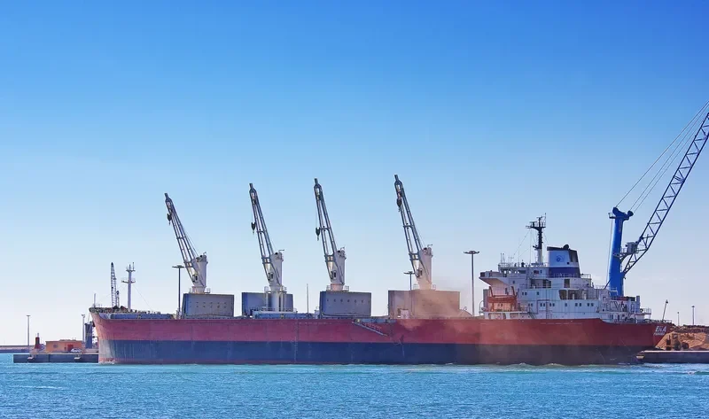 ERA Bulk Carrier IMO 8118138 photo 6