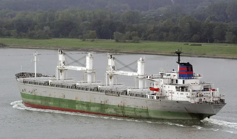 ERA Bulk Carrier IMO 8118138 photo 8