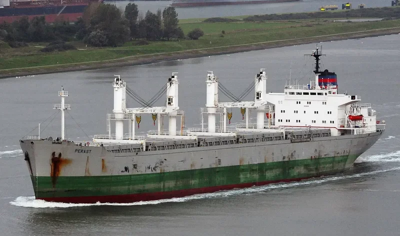 ERA Bulk Carrier IMO 8118138 photo 9