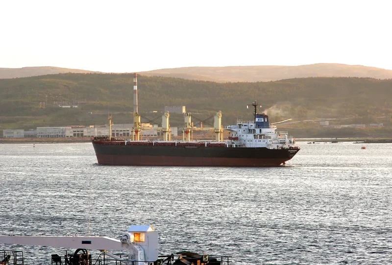 MURMANSK Bulk Carrier IMO 8118140 photo 8
