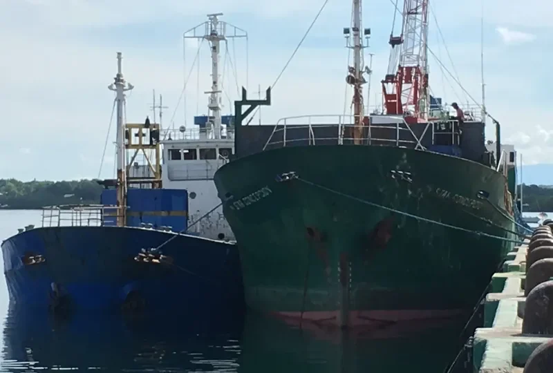 STAR CONCEPCION General Cargo IMO 8118475