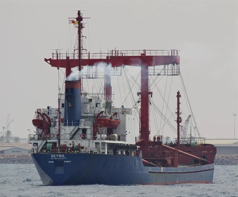 SEYMA General Cargo IMO 8118683 photo 2