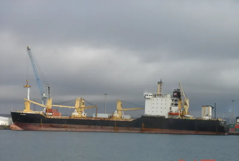 BOULARIBANK Ro-Ro IMO 8119168 photo 5