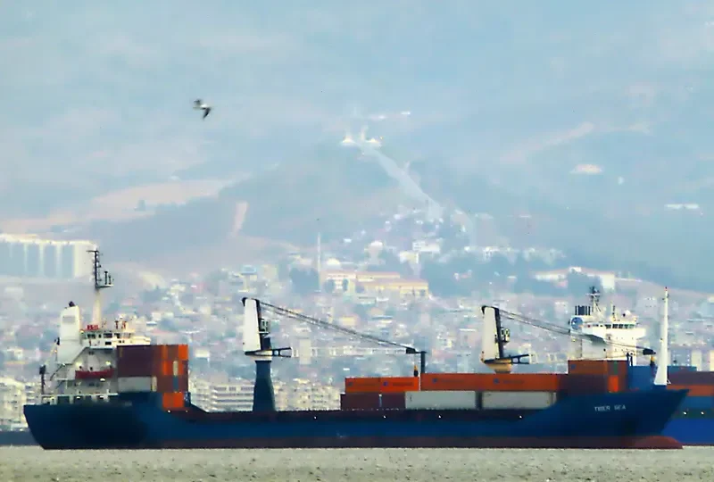 TIGER SEA General Cargo IMO 8120636 photo 2