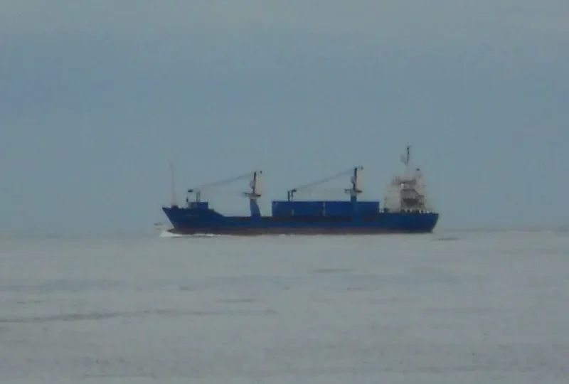 TIGER SEA General Cargo IMO 8120636 photo 6